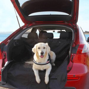 Boot Liners