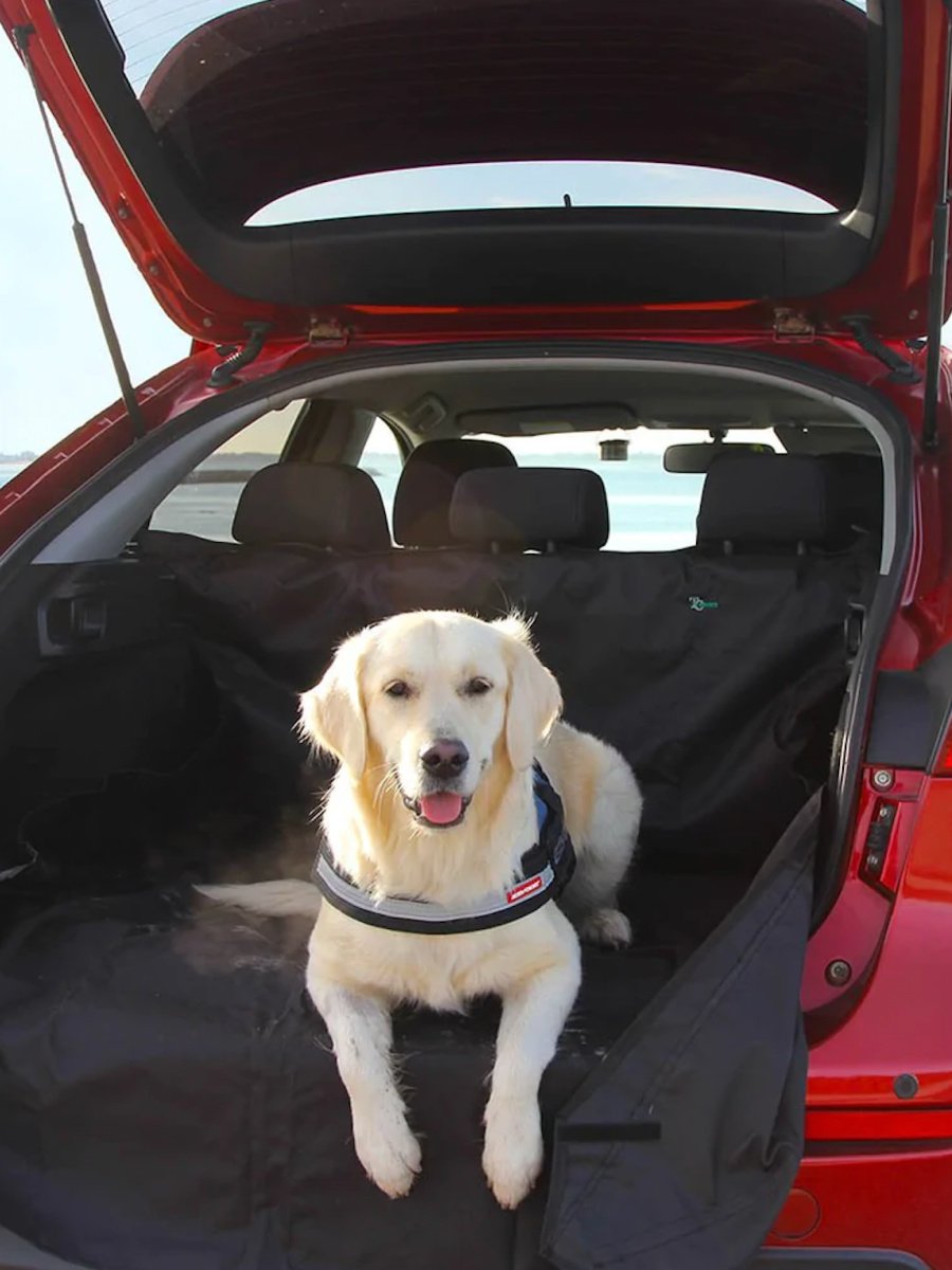 Boot Liners - Image 2