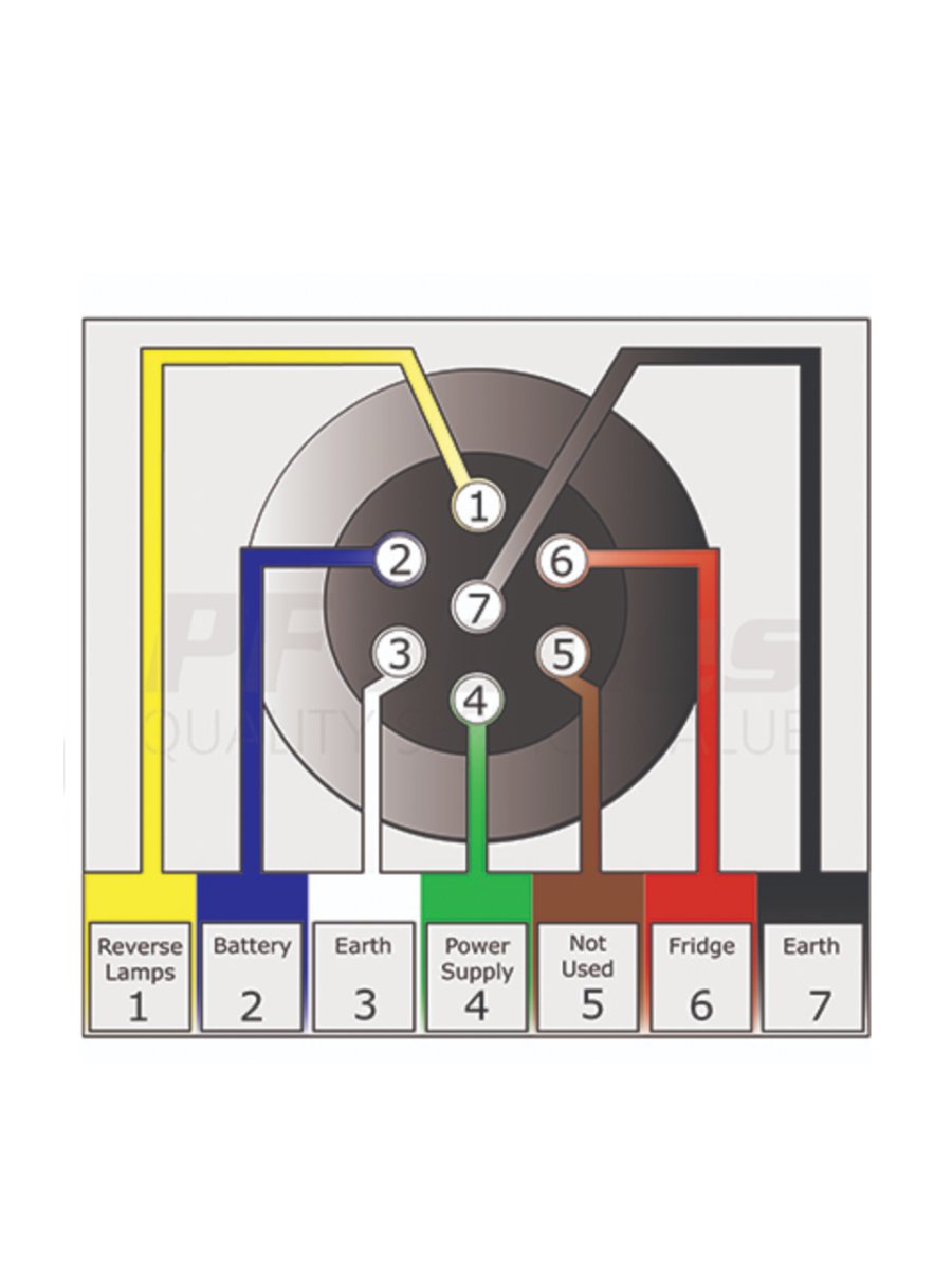 Twin Electric - Image 3