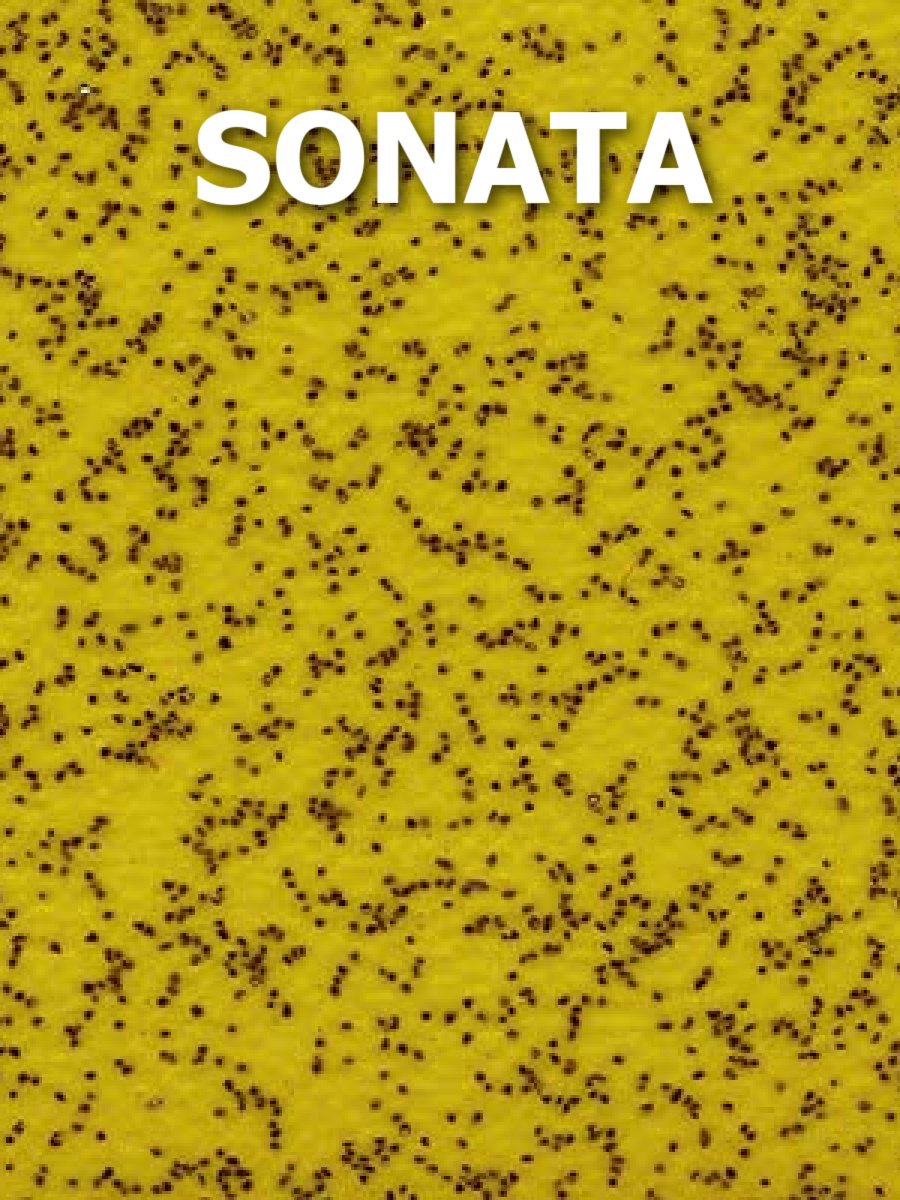 Vinyl Floorcoverings - Image 6